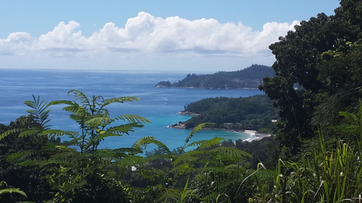 Kate Turkington tweet media