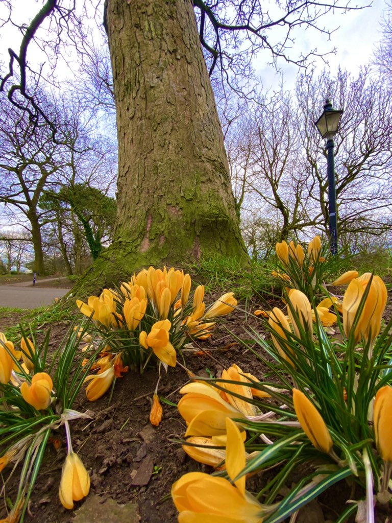 Joel Jelen Ubiquity Collective tweet media