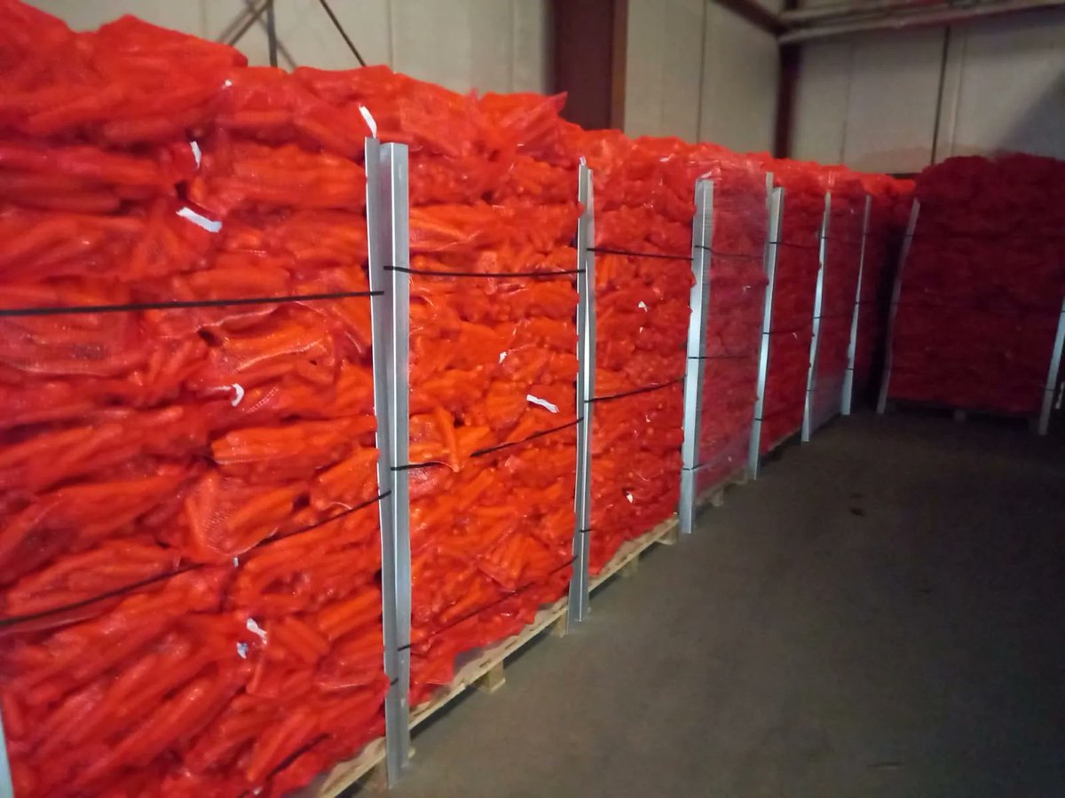 AgriFoodTrade's tweet image. #carrots #marchew #mohren #mrkev #dutchcarrotgroup