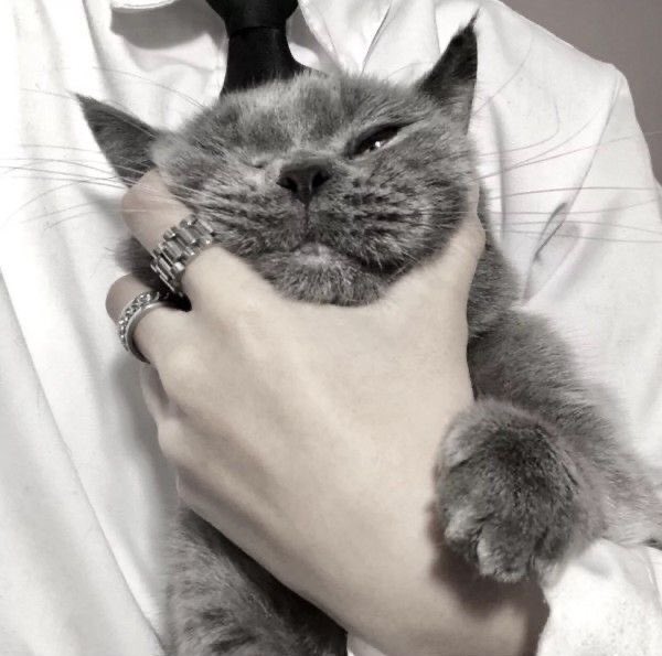 ZKFairCommunity's tweet photo. with thy pussy. https://t.co/pbxA1obZfz