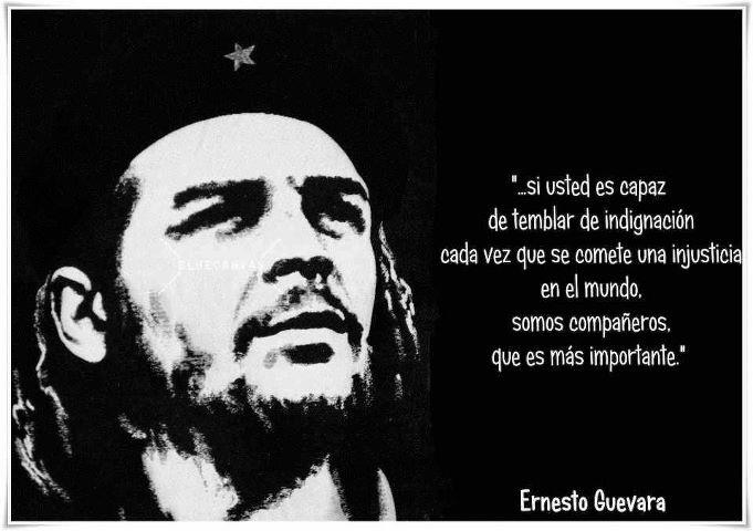 El Necio tweet media