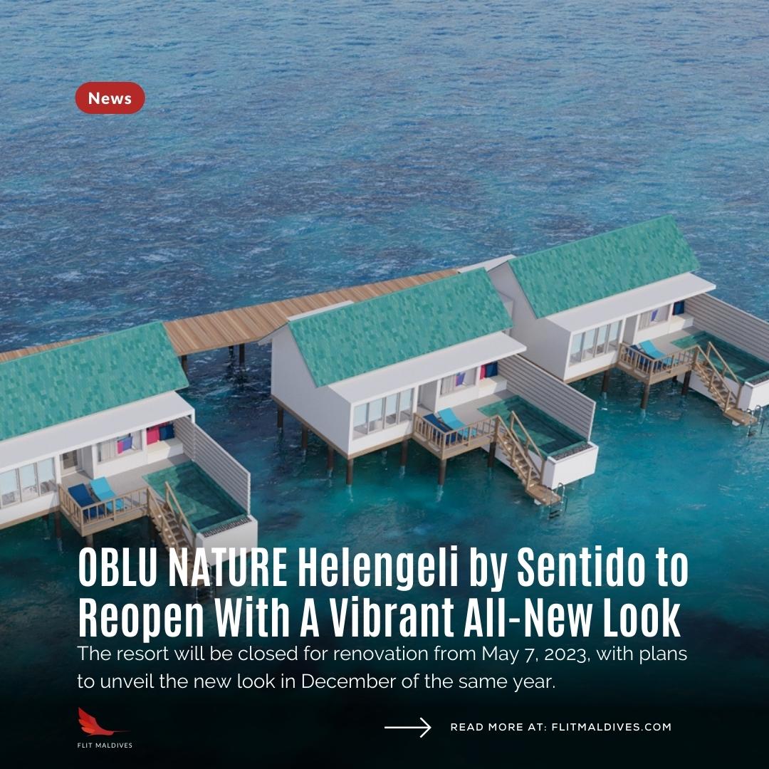 Flit Maldives tweet media