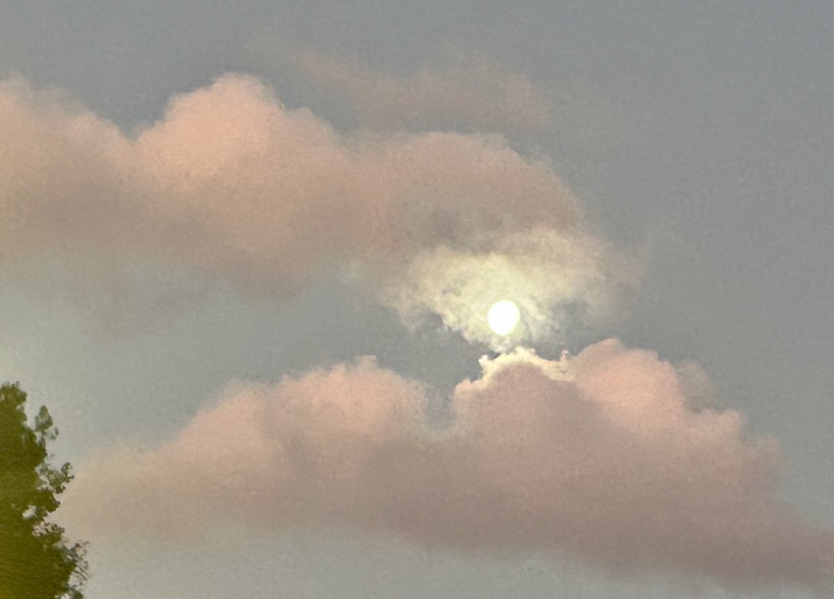 jennyeather's tweet photo. Elizabeth Street moon. #sydney https://t.co/BxNuLZoSyj