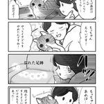 最近いたずらをしなくなった、と思ったら･･･!とっても可愛い「猫漫画」が話題に!