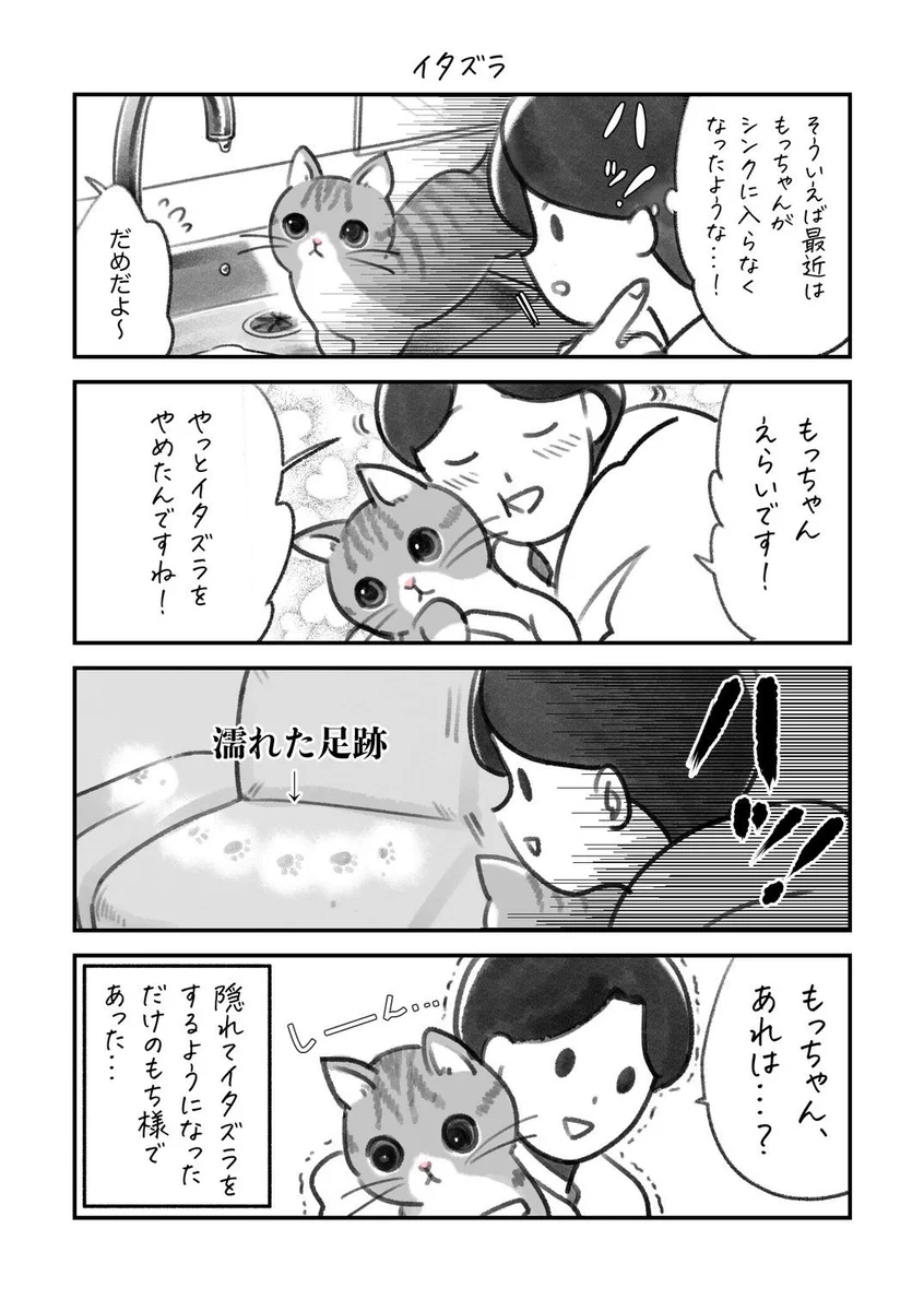 最近いたずらをしなくなった、と思ったら･･･！とっても可愛い「猫漫画」が話題に！
