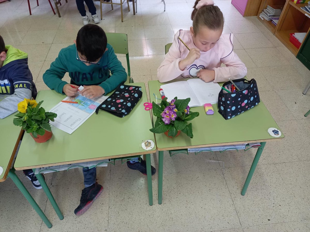 Los alumnos y alumnas de 2° están haciendo un proyecto sobre las plantas en Science. Este mes van a aprender sobre las partes de las plantas, sus funciones y los cuidados que necesitan. Han traído sus propias plantas a clase y lo están haciendo genial.