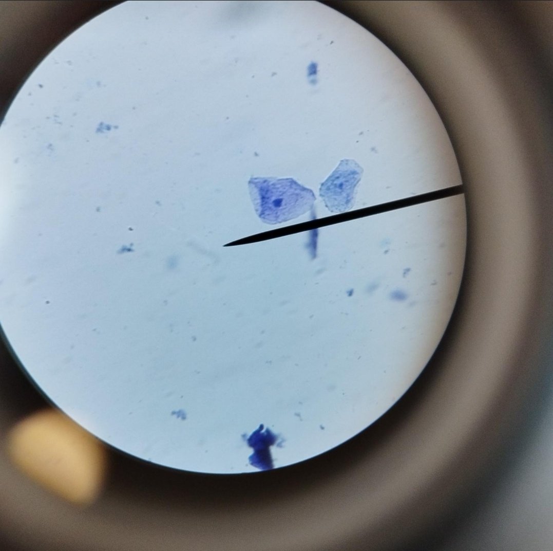 Ms Minton tweet media