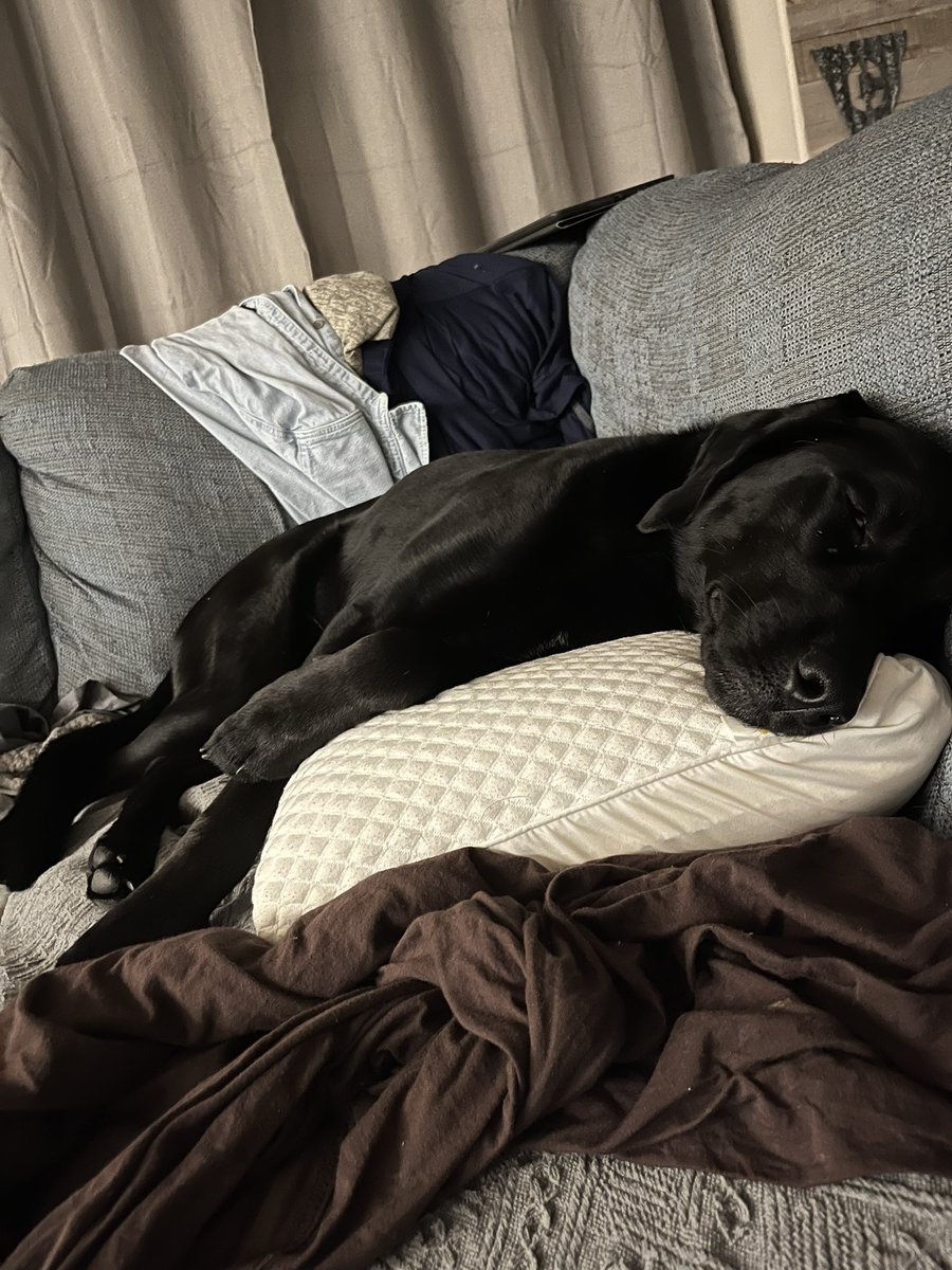 @McNeill_Tweets I raise you 27 socks consumed by the same black lab. Say hi to Peyton, she’s really cute