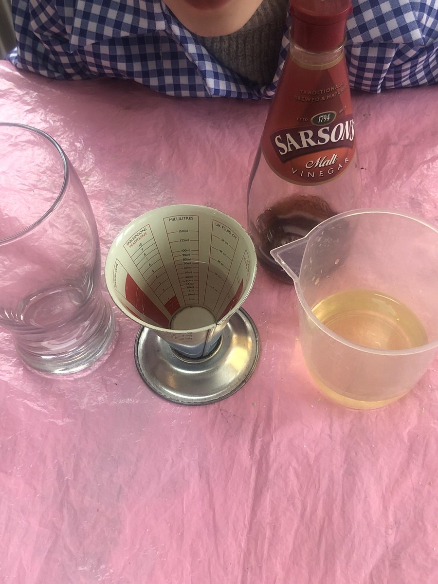 LearningLog1's tweet image. @laceygreenpa #LGPAScience Water, vinegar and cooking oil separate when combined.