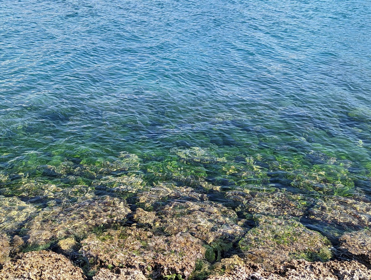 0116junjun's tweet photo. お散歩@波の上ビーチあたり
気持ちの良い日だ☀ https://t.co/GeUIMqJ4Gw