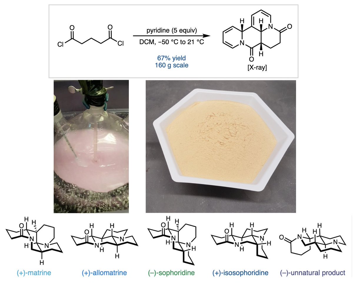 MatthewHorwitz1's tweet image. Today on Synthesis Workshop, Jeff @Kerkovius takes us through his work on a pyridine dearomatization approach to the synthesis of lupin alkaloids with @Sarah_Reisman @Caltech!

Full episode: youtu.be/fWvfpqnW_5U

Key paper:
@J_A_C_S 2022, 144, 15938.
doi.org/10.1021/jacs.2…