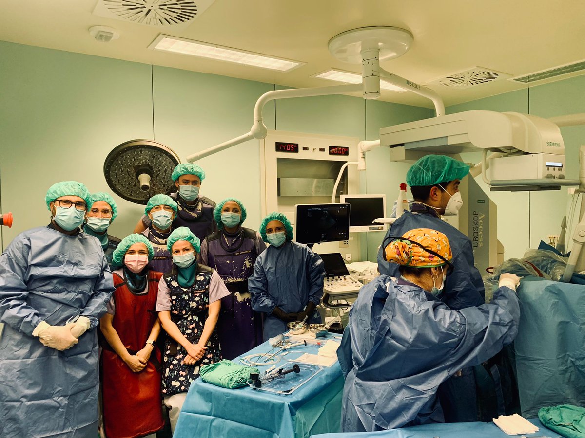 Percutaneous surgery workshop with @CookMedical in @LithotripsyF at @HospitalLaFe .Sharing knowledge with colleagues from Málaga, Madrid, Lugo and Cádiz. @PBahilo @albertobudiaalb @InfoAeu @eulis_uroweb @ESRUrology