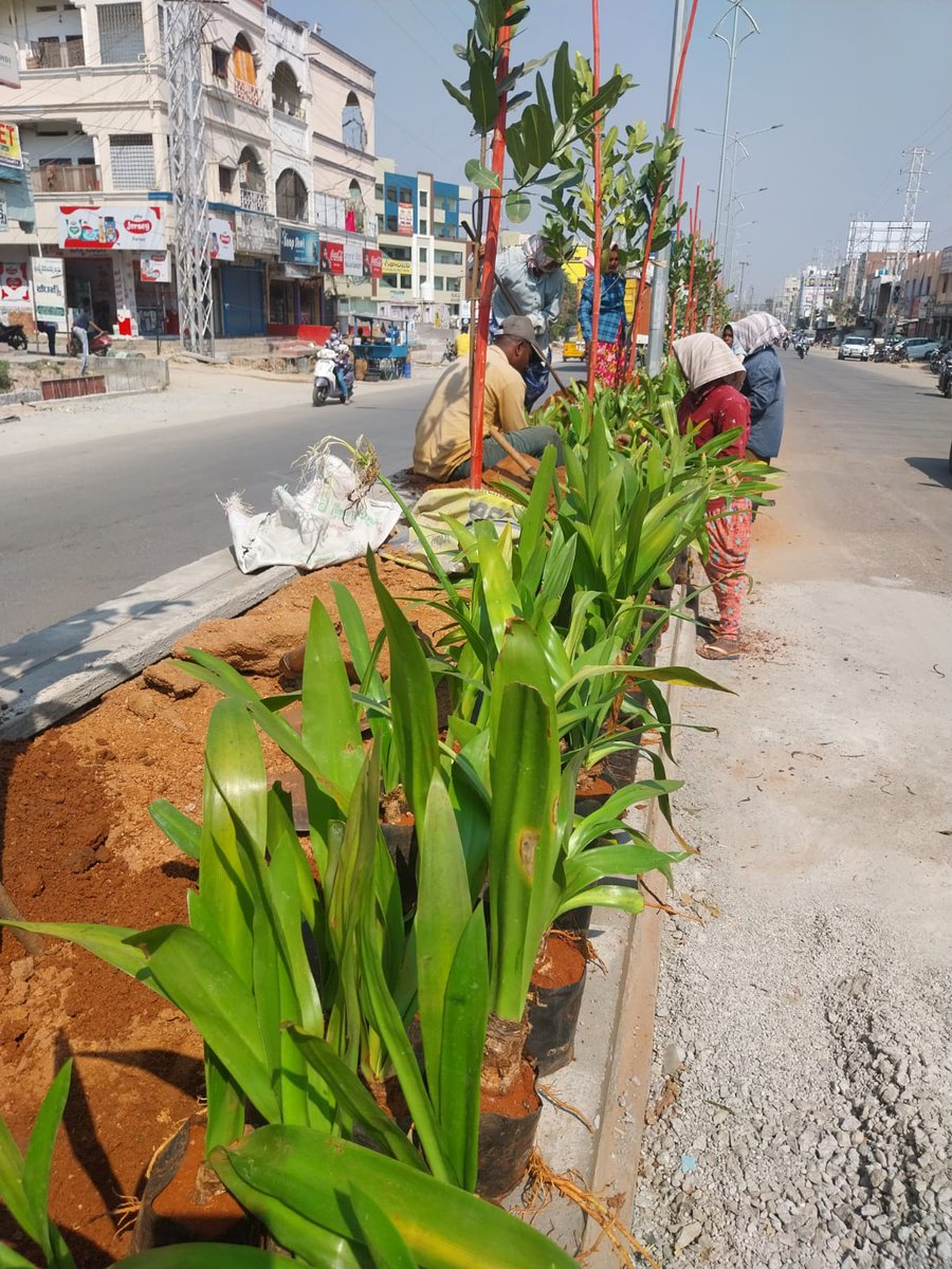 Nalgonda Municipal Corporation tweet media