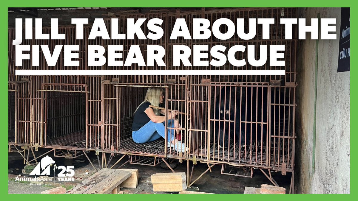 In her latest #blog Animals Asia founder & #CEO @MoonBearJill reflects on our recent #rescue of 5 #bears & what this means for the end of #bearbilefarming in #Vietnam animalsasia.org/uk/social/jill… #NoBearLeftBehind #FemaleLeader #Leader #FemaleCEO #ThoughtLeader #InspirationalLeader