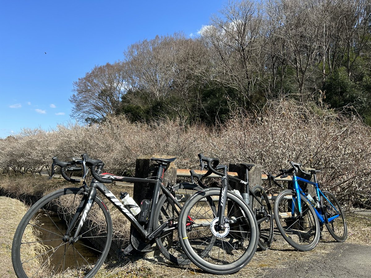 fukunekos's tweet photo. 3月最初の土曜日は初春を感じる日差したっぷりライドでした♪ https://t.co/c4rZRzkTsH