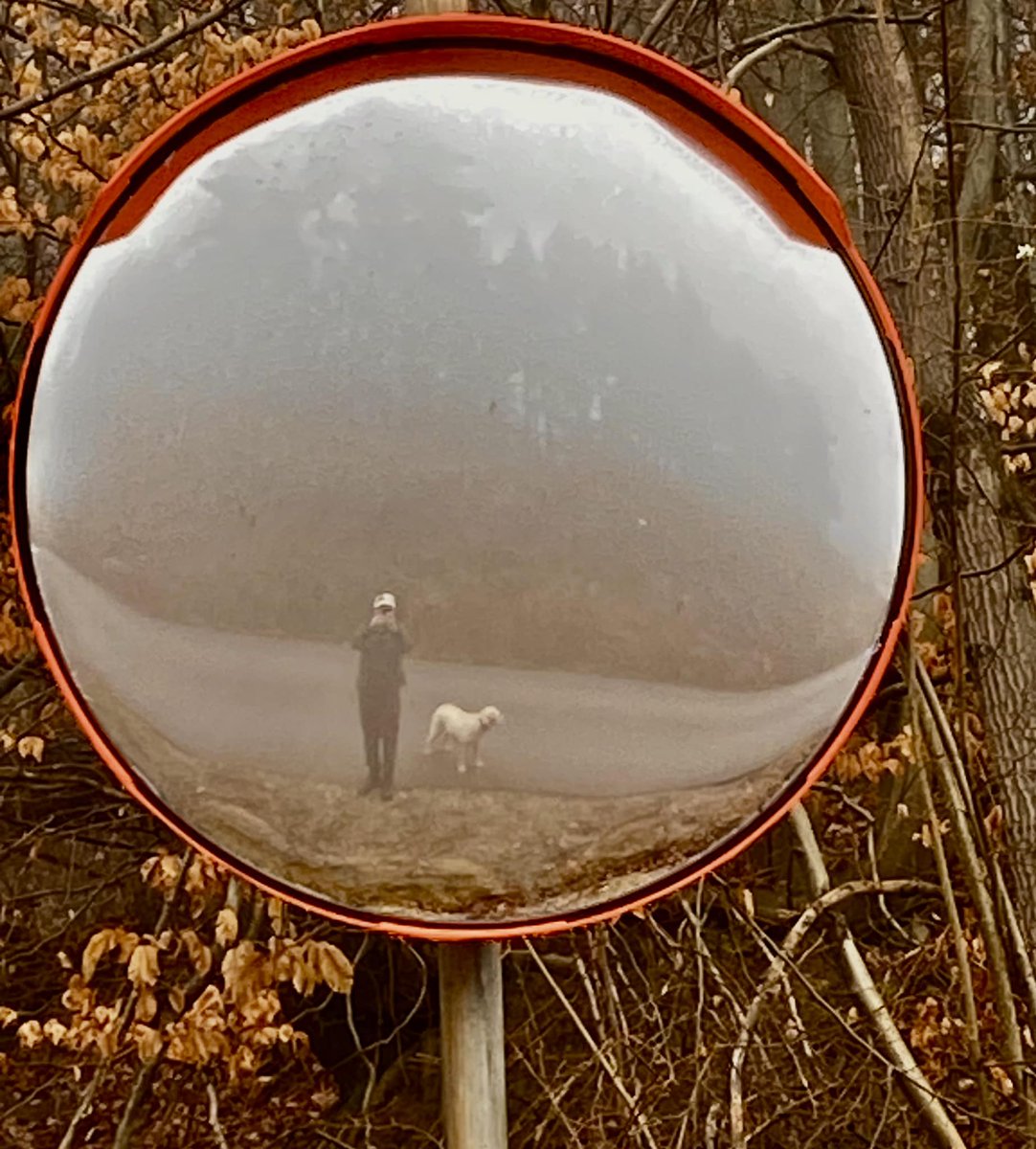 AMMCFC's tweet image. Morning walk