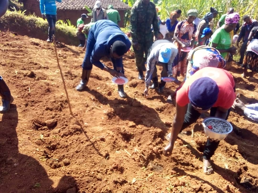 NgororeroDistr's tweet photo. Mu mwanya ushize ku rwego rwa @NgororeroDistr hatangijwe igihembwe cy'ihinga cya 2023B.
Igikorwa cyayobowe na Minisitiri wa @RwandaEmergency Madame @mskayisire 
@RwandaLocalGov @JCMusabyimana @RwandaAgriBoard @RwandaAgri @RwandaWest @HabitegekoFran1 https://t.co/PTTwhckvtP