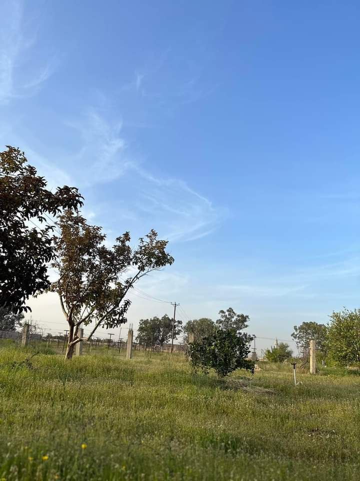 أعظمُ رحمةٍ في الوجود؛ هي أن الله معك 🤍