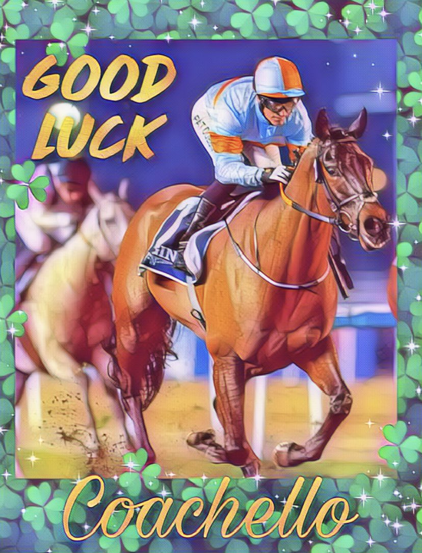 The very best of luck to team @gelliott_racing with Coachello for Super Saturday 💙🧡🏇🏼🇦🇪 ✨ 

We’re all behind you 🍀 🇮🇪

#DWCCarnival #SuperSaturday #meydan