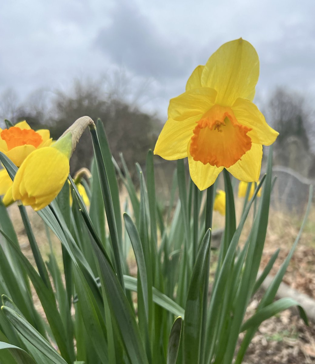 gojauntly's tweet image. Good morning friends! What are your plans this weekend? 💛 #NatureNotes