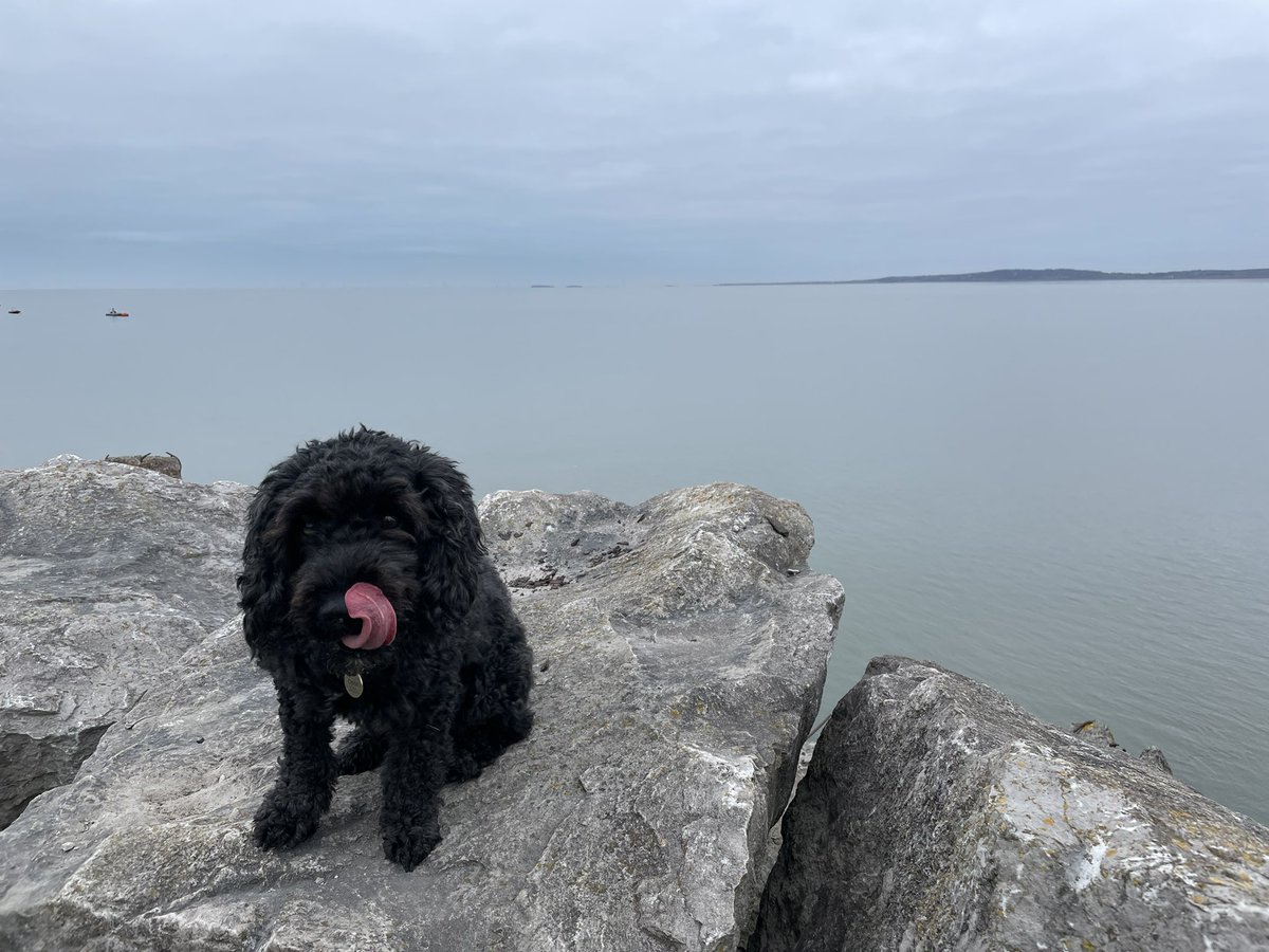 This morning’s walk