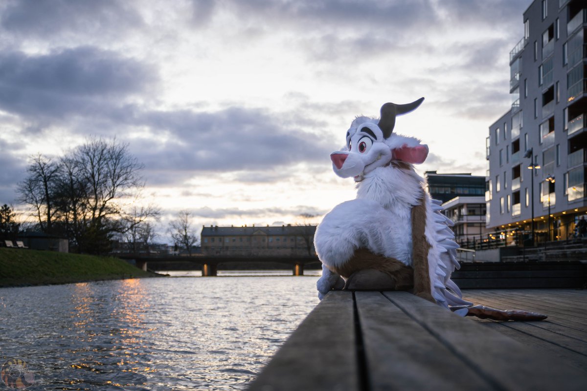 Everyone needs a little break. Even <a href="/ZottelGoatdemon/">Zottel @zottelgoatdemon.bsky.social</a>
This photo was taken on the @NordicFuzzCo
