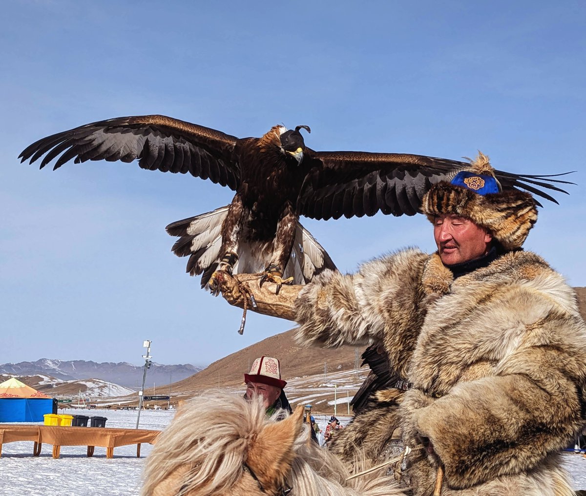Eagle Hunter Festival in Ulaanbaatar #eaglehunter #ulaanbaatar #mongolia #culturalevent #mongoliantourism