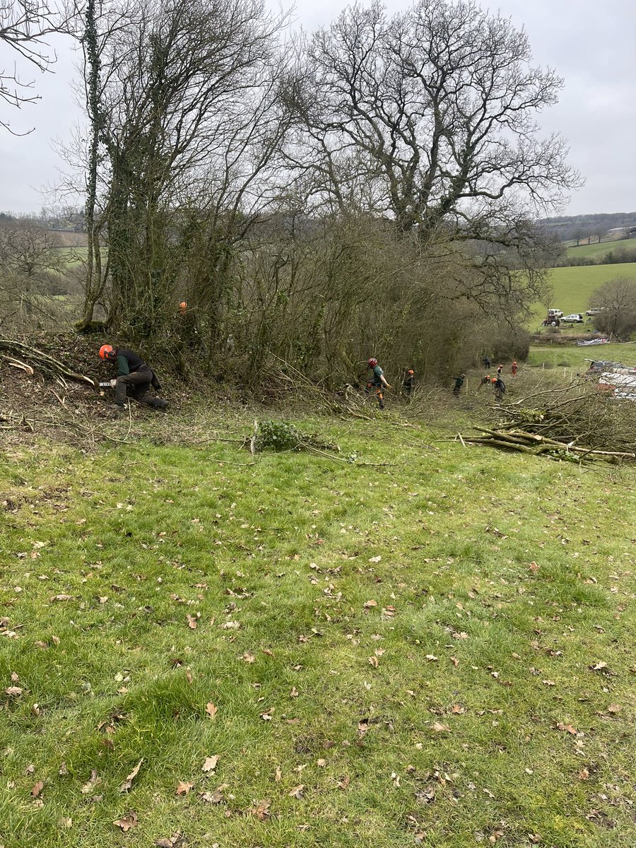 Great to be out on our first event of 2023! Blackdown Hills Hedge Association Hedgelaying Competition