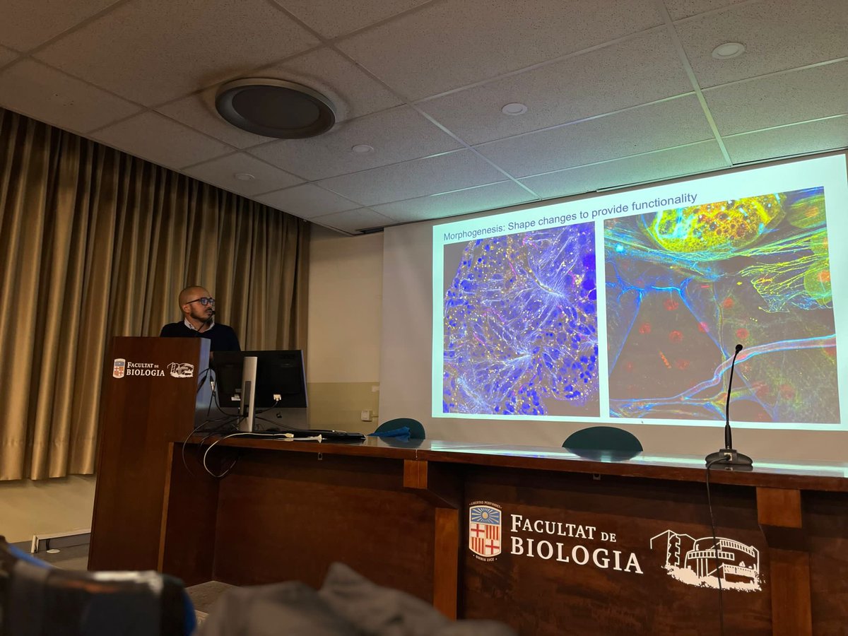 Daniel Ríos Barrera tweet media