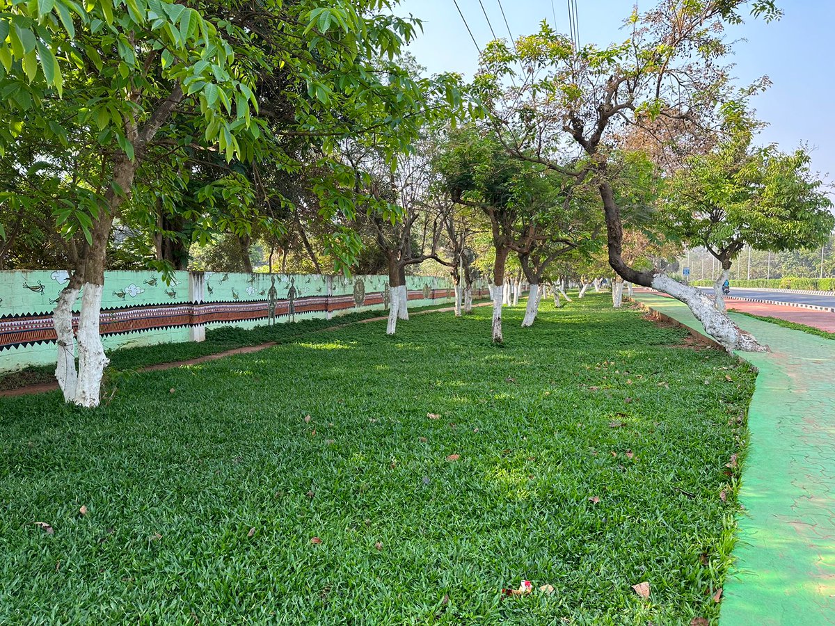 bmcbbsr's tweet image. The roadside landscaping taken up during the #HWC2023.  
Enhances the city&apos;s beauty even after a month with proper maintenance by Team Bhubaneswar.

#BhubaneswarFirst