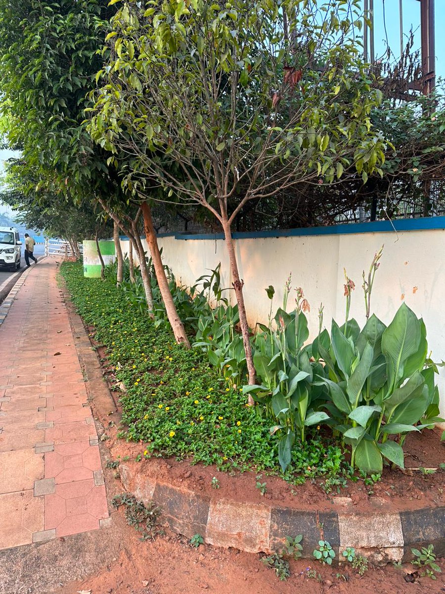 bmcbbsr's tweet image. The roadside landscaping taken up during the #HWC2023.  
Enhances the city&apos;s beauty even after a month with proper maintenance by Team Bhubaneswar.

#BhubaneswarFirst