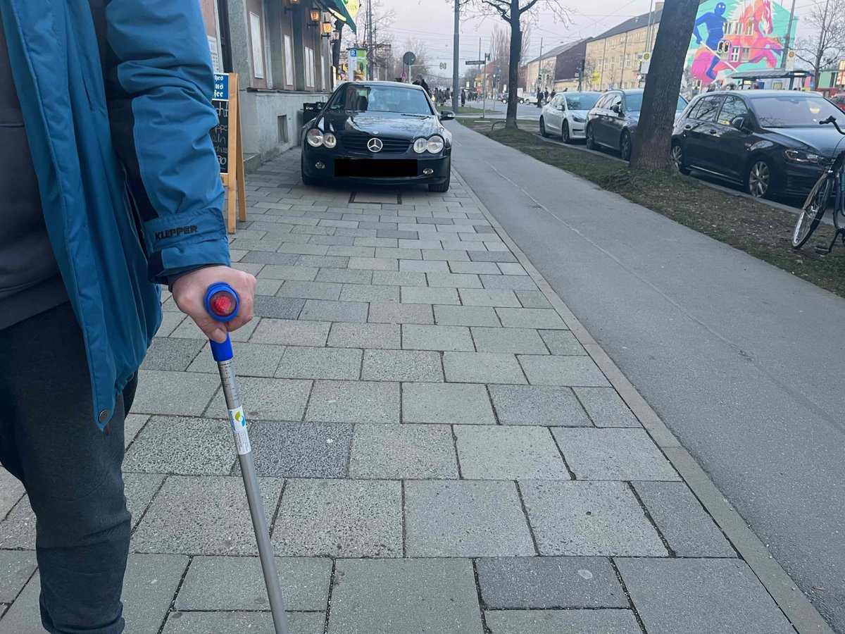 München, Leonrodstraße. Es ist Streiktag.  
Die Radwege sind voll.
Der Gehweg wird als Parkplatz genutzt. Wenn die Ampel grün wird und die Radler loslegen, wird es für die Fußgänger tatsächlich gefährlich.
Mich würde einfach nur interessieren: Warum? Weil man es kann?