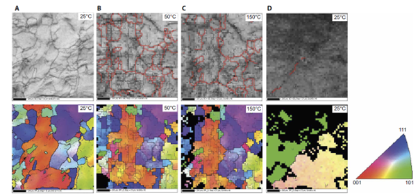 OxInst's tweet image. 📚 Heat treatment of Li10Mg alloy forms passivation layer which prevents dendrite formation. A quite promising breakthrough for the batteries of the future! Read more in Kaboli et al, (2020). 

👉 okt.to/OHJQm1 

#SEMAnalysis #Batteries