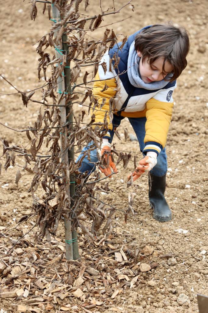 #BoisUrbain
✅Cela s’inscrit dans le projet de renouvellement urbain du territoire 

📍Un premier bois urbain qui sera un nouveau poumon vert au cœur du #GrandArras 

☘️ Un beau projet pour les habitants du quartier et du territoire