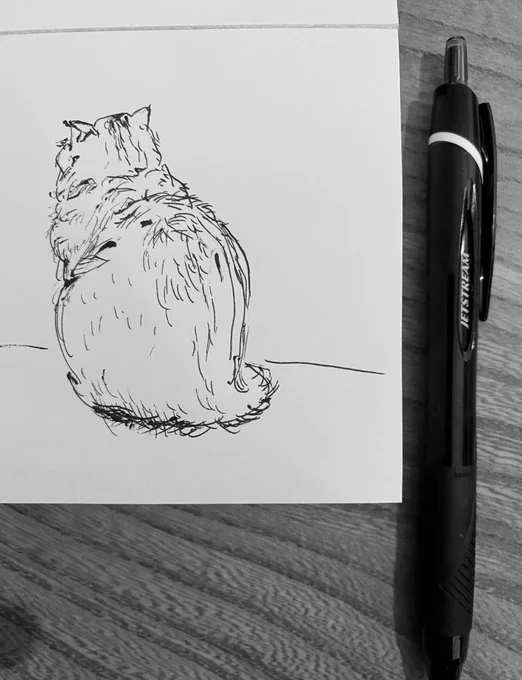 ぽっこりした背中 