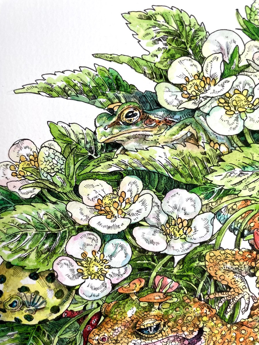 「いちか、と読みます。レオパをパターンレスっぽくしたので、代わりにハコフグちゃんで」|Keso Artのイラスト