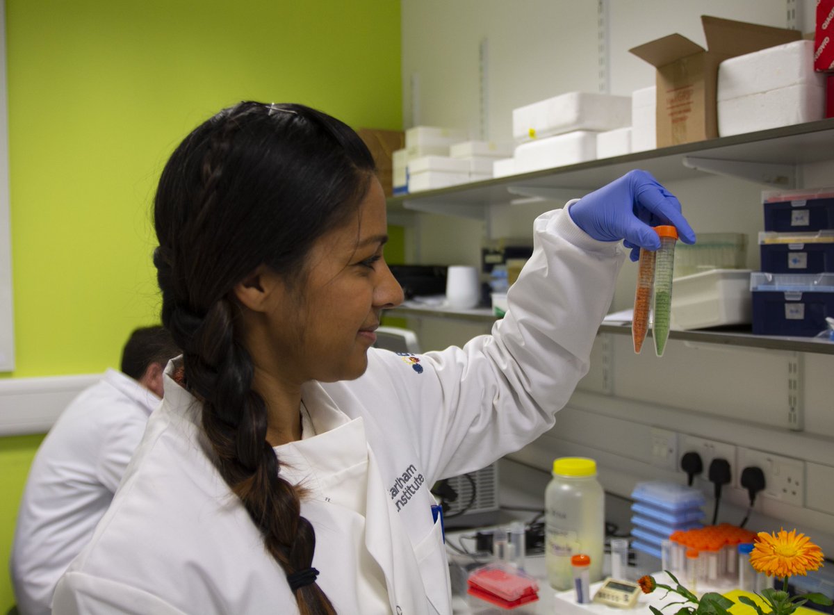 EarlhamInst's tweet photo. ⚙ #WorldEngineeringDay: At the Earlham Institute, scientists in the Patron Group apply #engineering &amp; #synbio approaches to decode biological complexity and advance plant #biotechnology.

Discover more about their work: https://t.co/Q8I6KnuWsO

@engineering_day #WorldEngineering https://t.co/udB7z3QQzP
