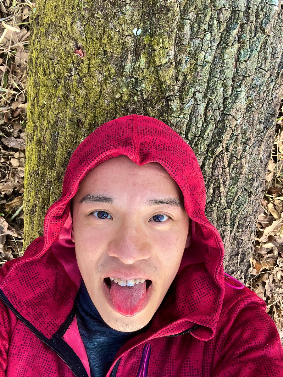 Happy WeekenDragon🐲😆
Today I am showing you the biggest tree on my mountain! 

They say the tree is over 100 years old... What have they seen? 
like the scales on the arms of a dragon!💪🐲

May your weekend be as fruitful and great as this tree.🌲