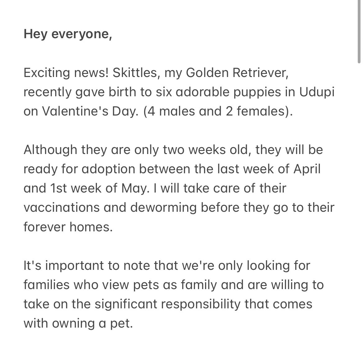 manyakumar93's tweet photo. My dog Skittles has delivered 6 beautiful puppies on 14th Feb and they’ll all be up for adoption in Bangalore, Mangalore or Udupi. Here’s a form that you can fill if interested so I can find the most suitable homes for the babies: https://t.co/jsCKM7jPea https://t.co/0xTXI14XEY