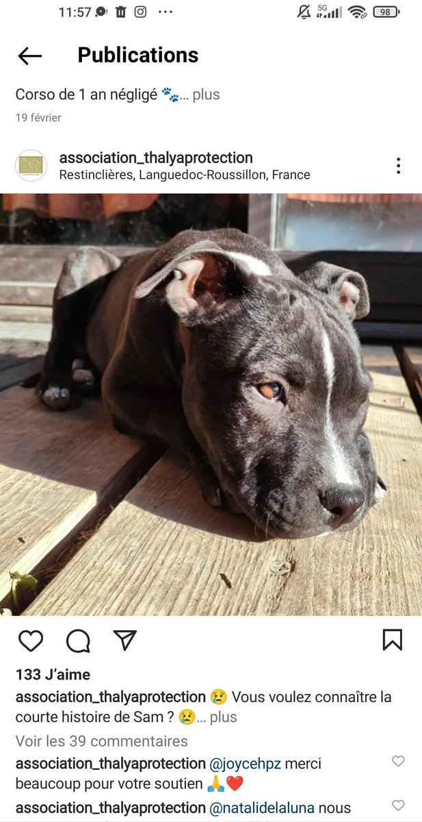 asso_TP's tweet photo. ⚠️ NOUS RECHERCHONS DES TÉMOINS ⚠️ 
Trafic de chiots type Staffie au marché de Lunel 34 sur le samedi 4 Février. 
Abus de faiblesse sur des personnes avec déficiences mentales afin de leur forcer la vente. 
#maltraitanceanimale #lunel #traficdechiot #montpellier  @MidiLibreLunel https://t.co/ntTSwxfBpO
