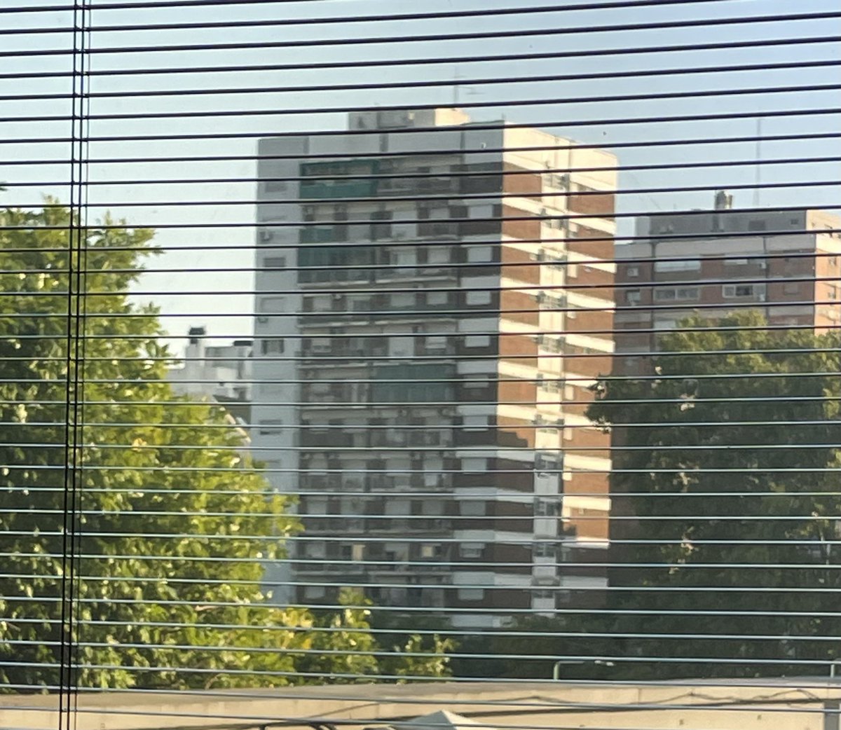 Amanece que no es poco, y esta heterogeneidad de árbol, cemento y cortinas persianas dan un toque de fortalezas .. acá bien 🦋