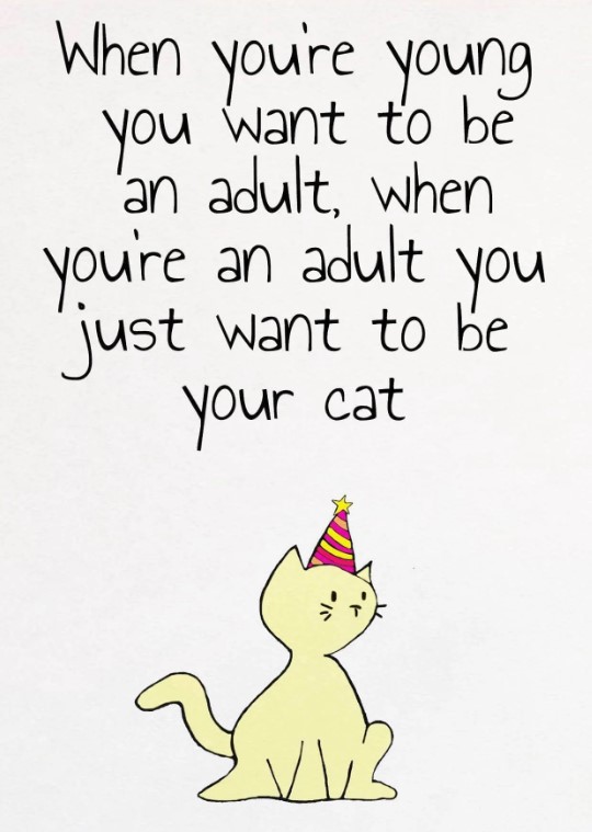 karengreencomo's tweet photo. #31thoughts 😻 #caturday https://t.co/QJP1b8m6U5