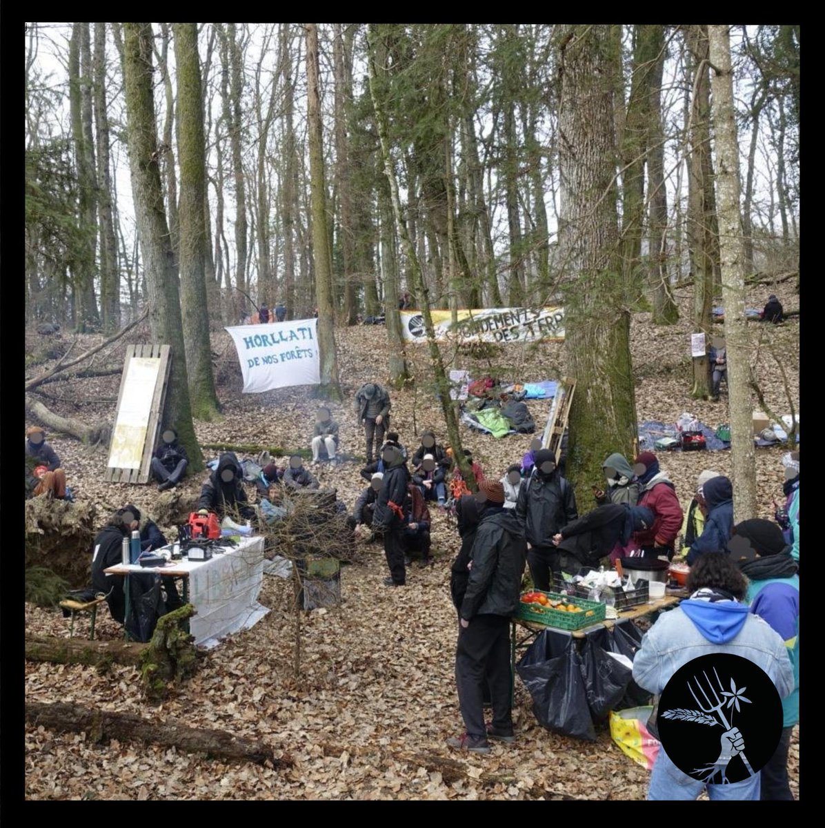GrondementsDTR's tweet photo. Radio, crêpes, thé, soleil, cabanes et installations temporaires pour une occup belle et joyeuse contre un projet de gravière destructeur !! C'est le temps des Grondements des Terres 🧡 Rejoignez-nouuuuss https://t.co/AsC2SduKnT