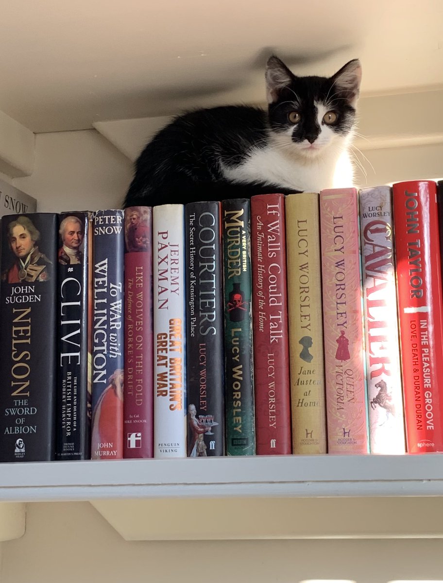 CranleyTowers's tweet photo. @Lucy_Worsley @AmazonKindle As enjoyed by all discerning felines! #kitlit @Lucy_Worsley 🐈‍⬛ 📚 https://t.co/4fa8unmro4
