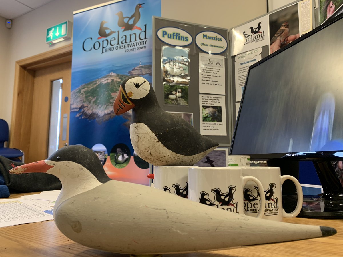 CopelandBirdOb's tweet photo. Why not visit us at Ballynure’s Nature Day! https://t.co/O1w86Erq2A