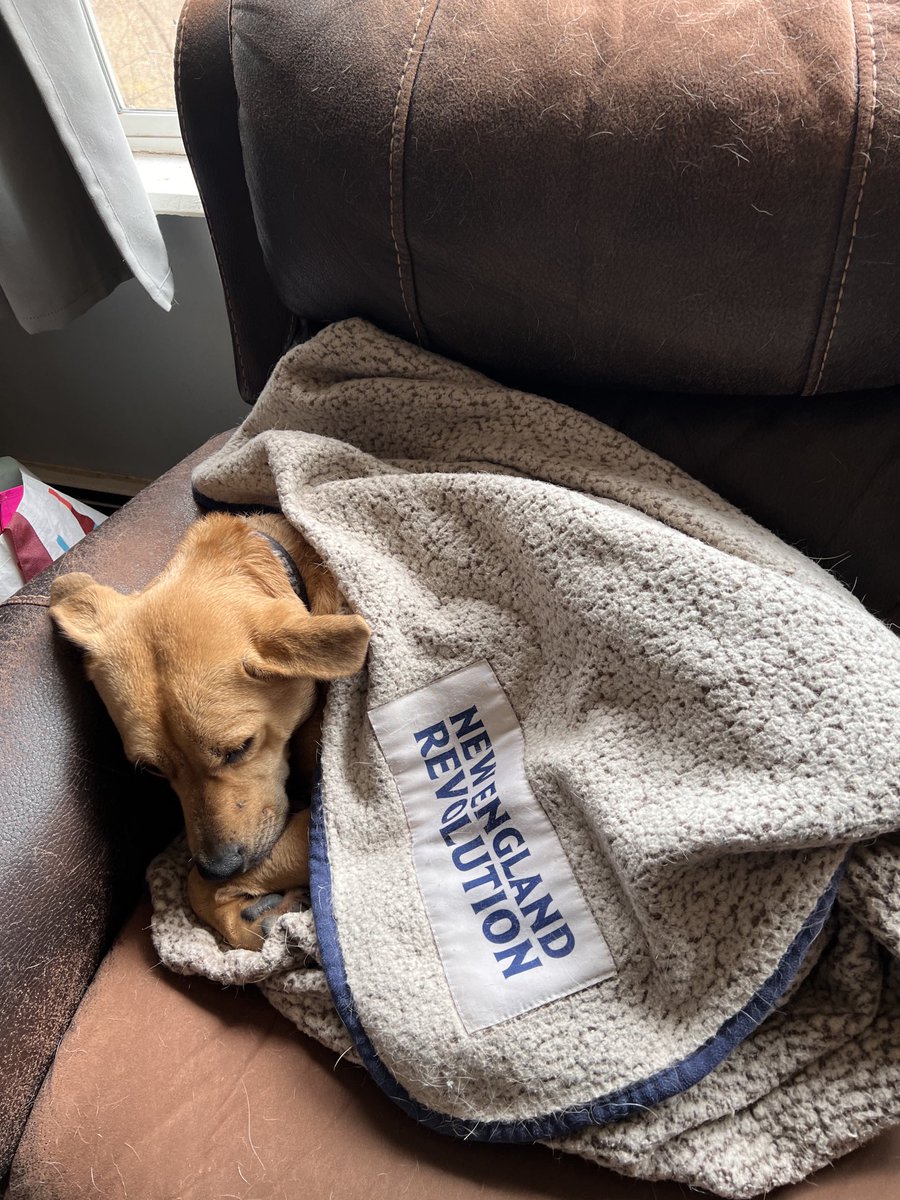 CTBooBoo's tweet image. It’s game day!!! Let’s go!! #nerevs #netid