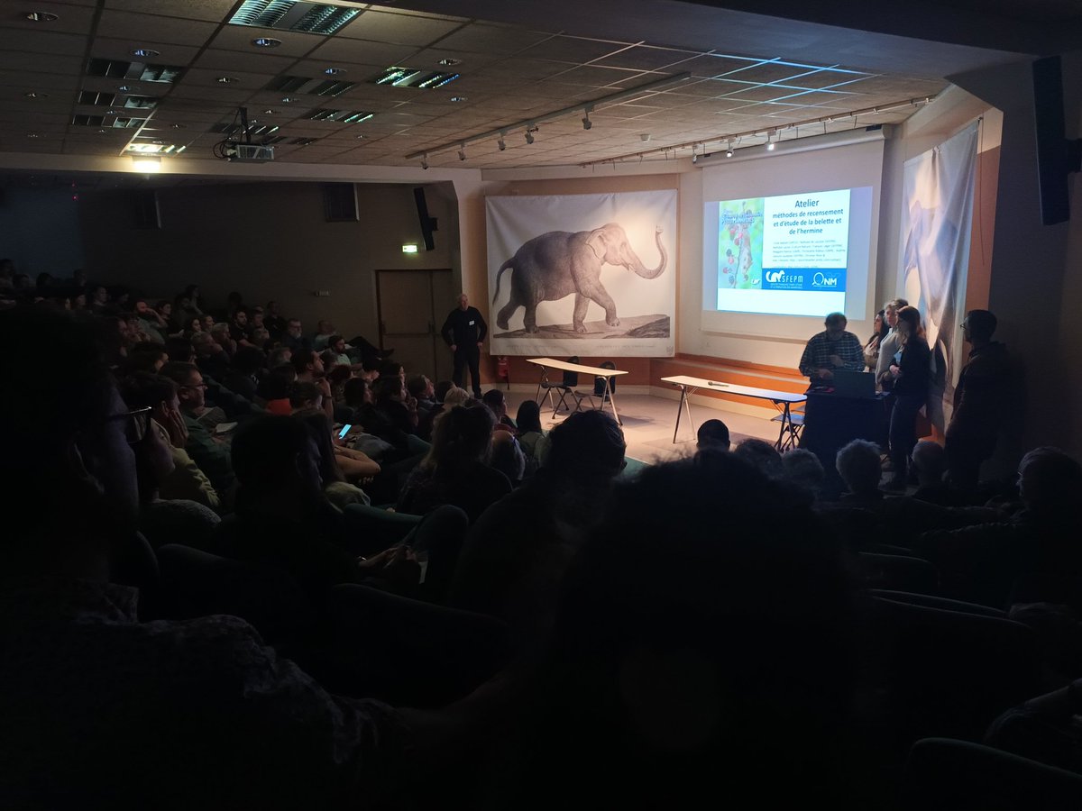 AudeLalis's tweet photo. 3èmes #RencontresNationalesPetitsMammifères, organisées à #Bourges par la Société Française pour l'Etude et la Protection des Mammifères (#SFEPM) https://t.co/oPGM2kERtn