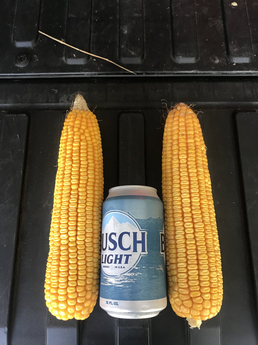 Mitch Wirth tweet media