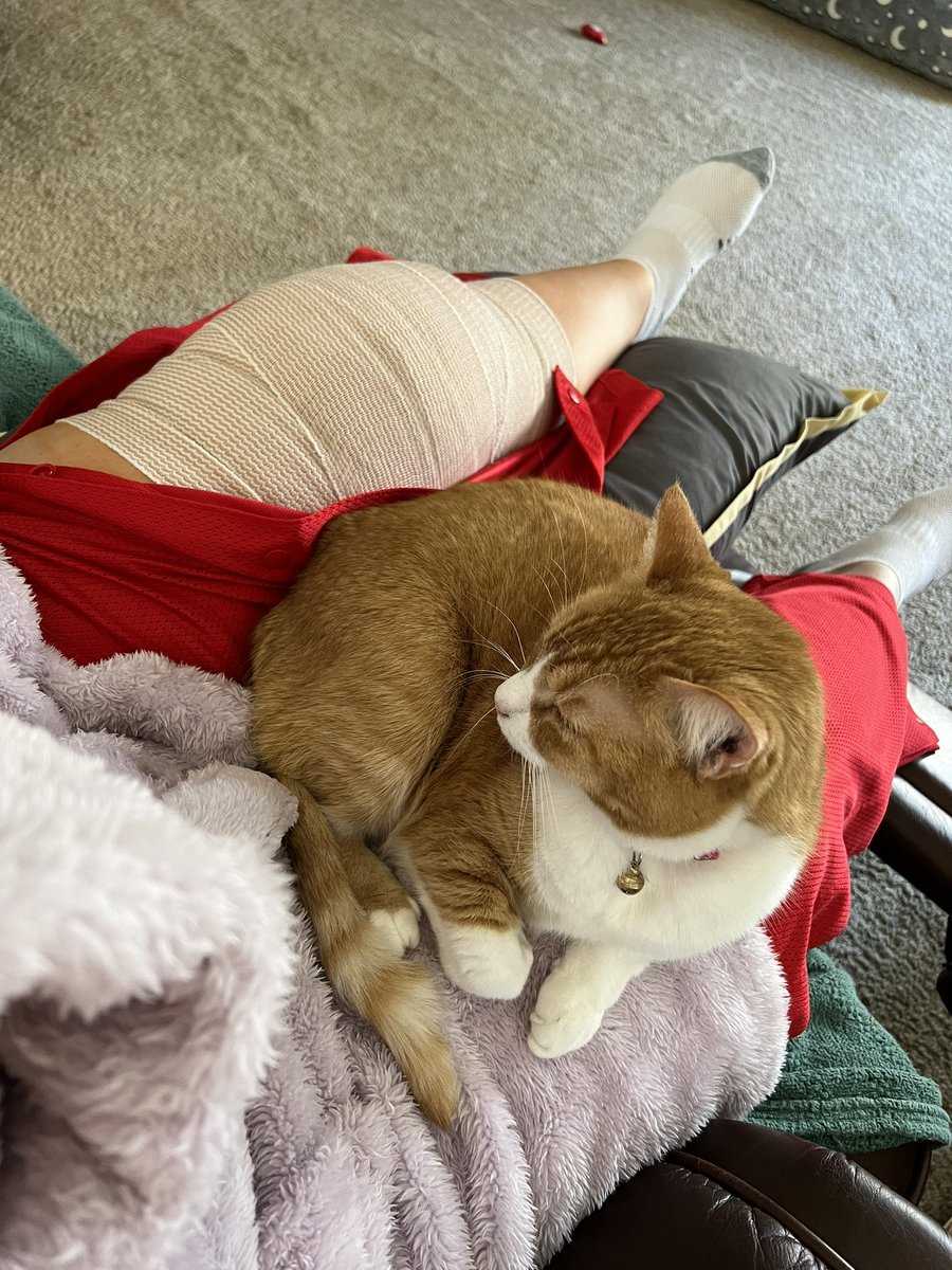 ATCchic's tweet image. I figured it being #NATM2023 and all I would use some of my own skills 🤣🤣🤣 Good thing I have a helpful kitty keeping me company 🤣
