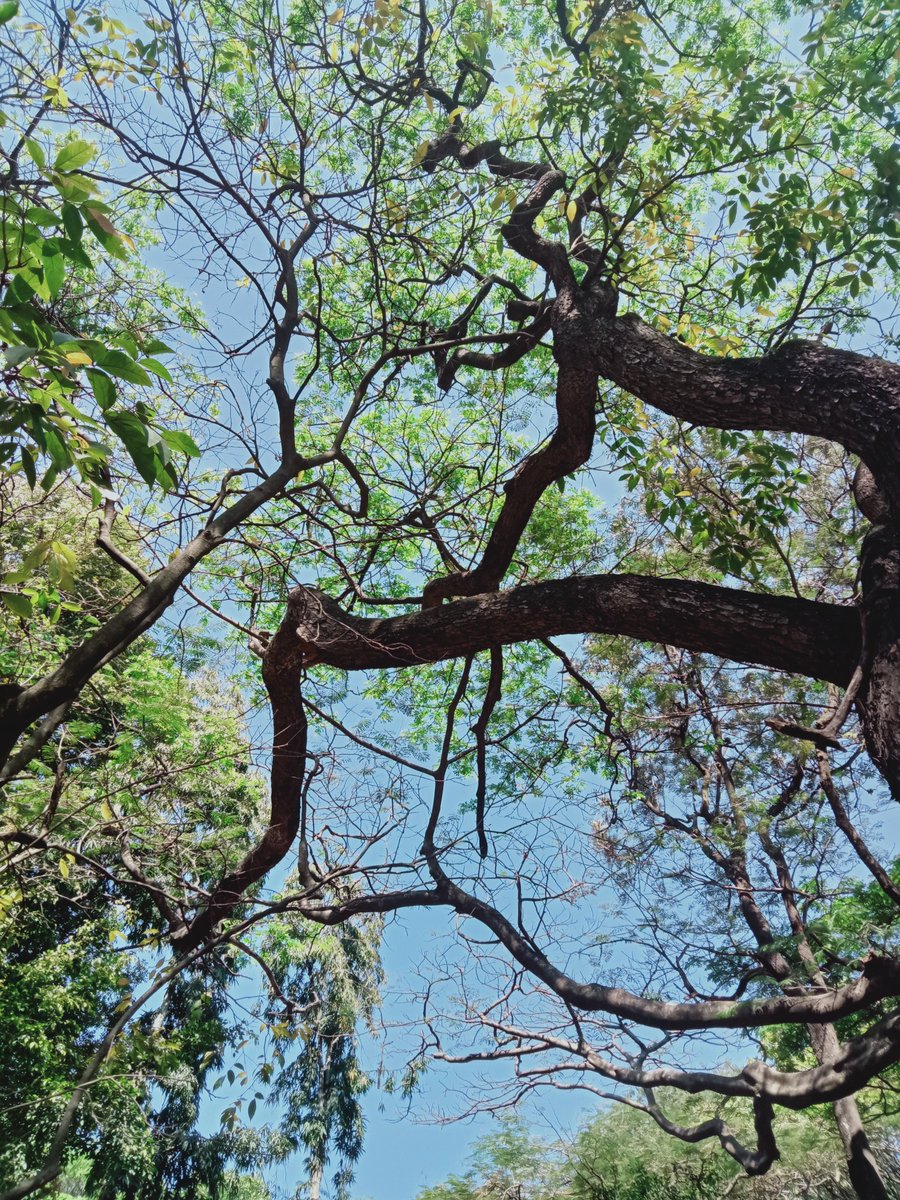 VishCash19's tweet image. Fun time exploring #IIScOpenDay2023 in @iiscbangalore